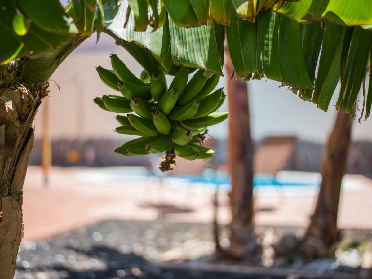 Amazing Villa Viktoria! Pool Big Garden Costa Adeje  Ngoại thất bức ảnh